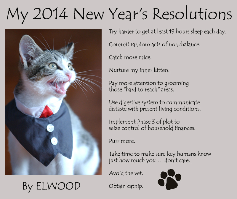 cat-resolutions2014